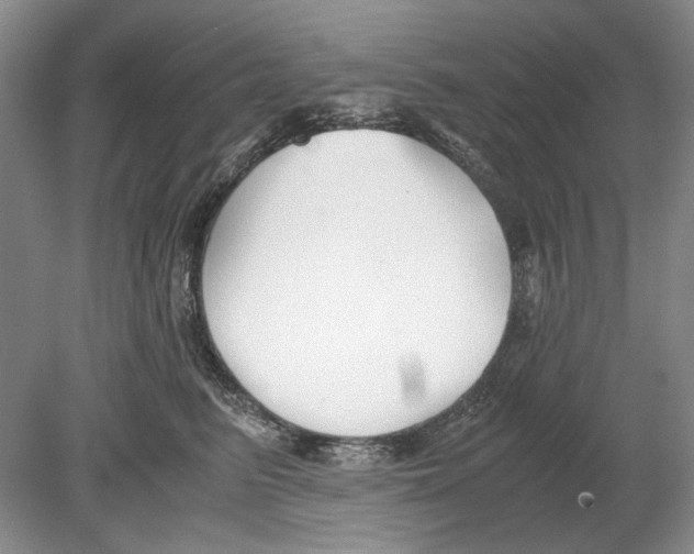 X0000078880615200612111741