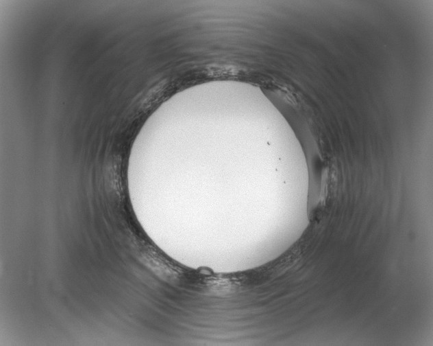 X0000078880616200612111741