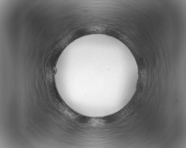 X0000078880617200612111741