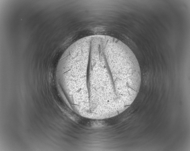 X0000078880618200612111741