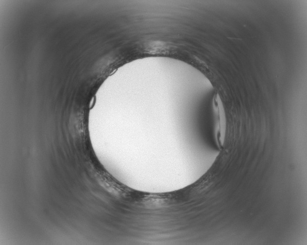 X0000078880620200612111741