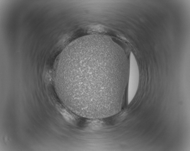 X0000078880621200612111741