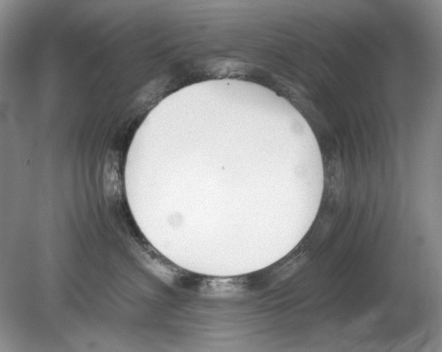 X0000078880622200612111741