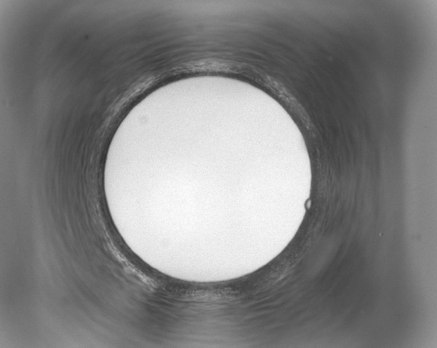 X0000078880625200612111740