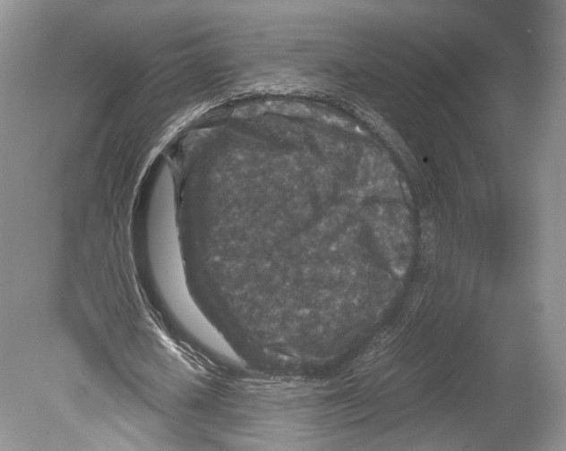 X0000078880626200612111740