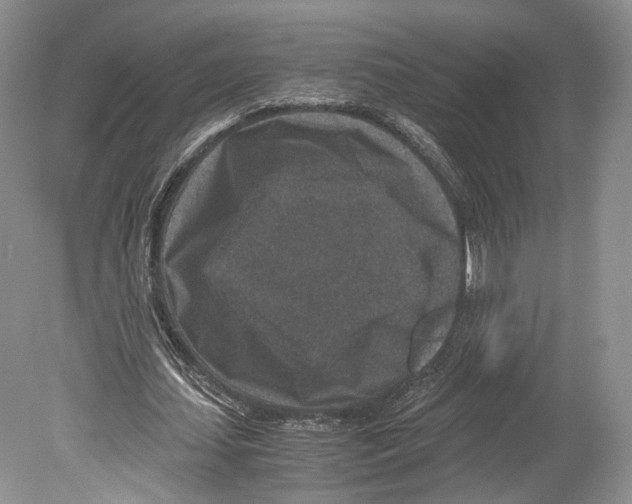 X0000078880627200612111740