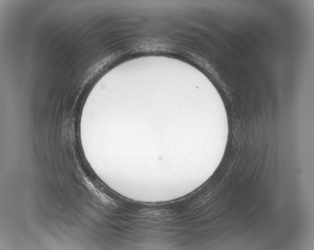 X0000078880629200612111740