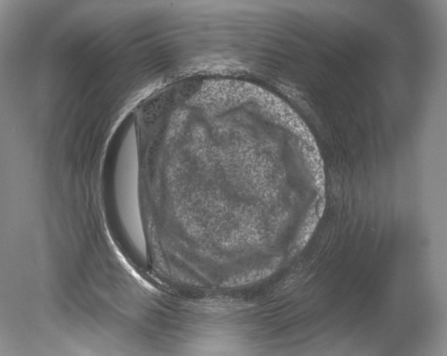 X0000078880630200612111740