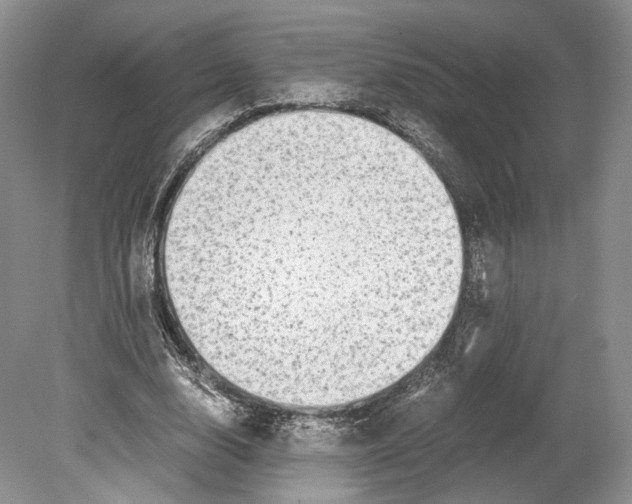 X0000078880632200612111740