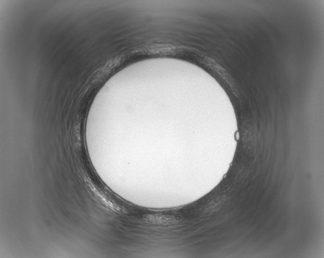 X0000078880633200612111740