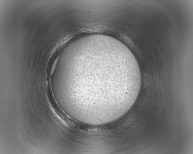 X0000078880634200612111740