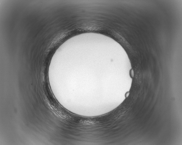 X0000078880635200612111740