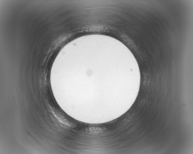 X0000078880636200612111740