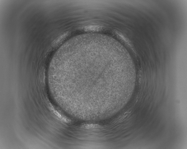 X0000078880637200612111740