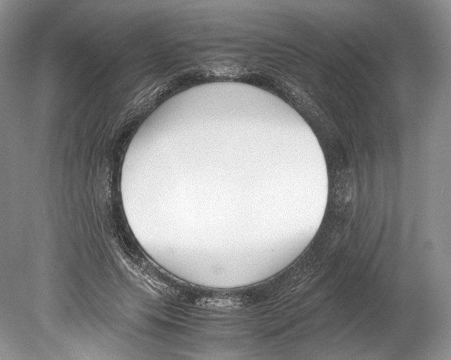 X0000078880639200612111740