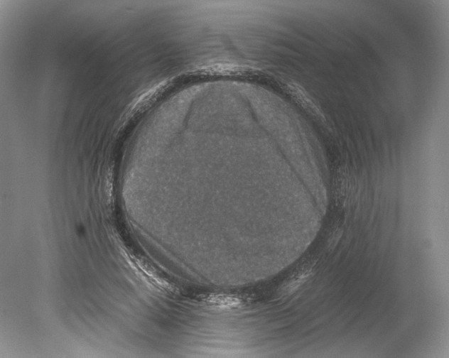 X0000078880640200612111740