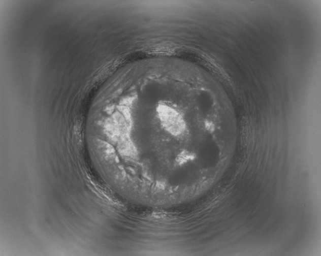 X0000078880641200612111740