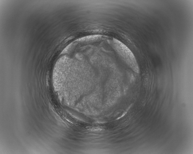 X0000078880643200612111740