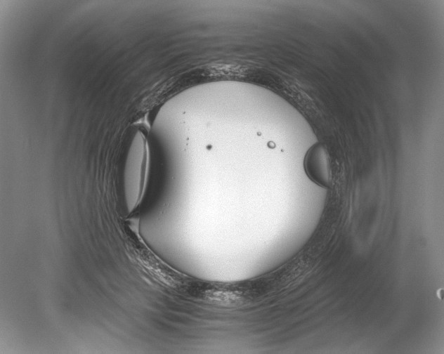 X0000078880649200612111740