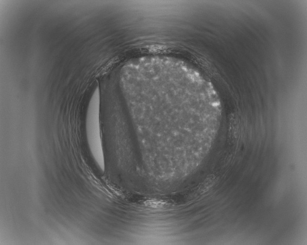 X0000078880650200612111740