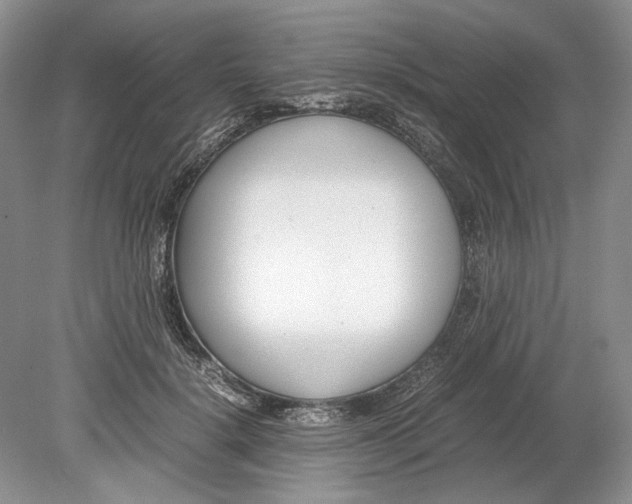 X0000078880652200612111740