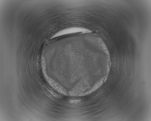 X0000078880653200612111740