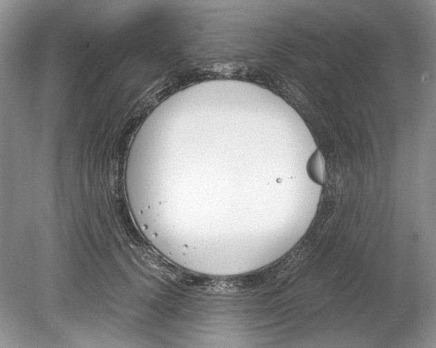 X0000078880656200612111741