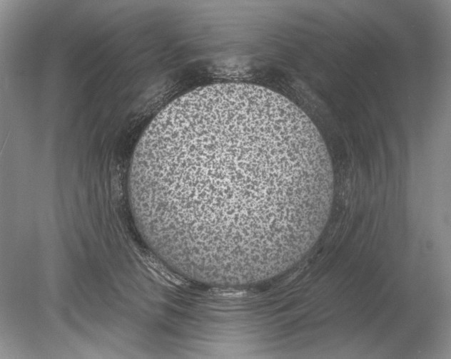 X0000078880658200612111741