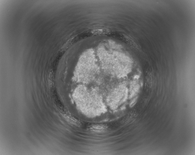 X0000078880659200612111741