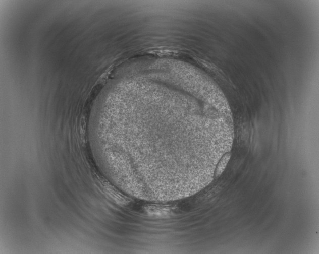 X0000078880661200612111741