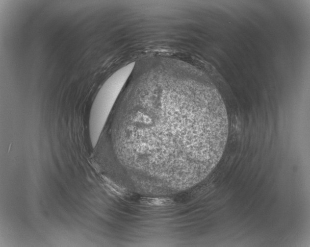 X0000078880663200612111741