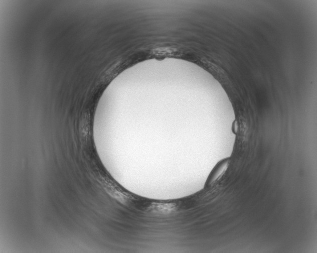 X0000078880665200612111741