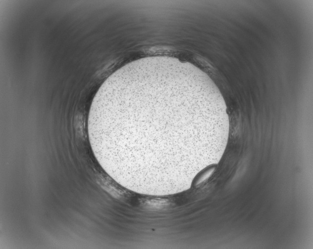 X0000078880669200612111741