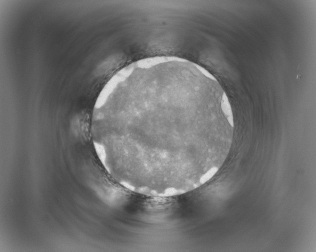 X0000078880672200612111741