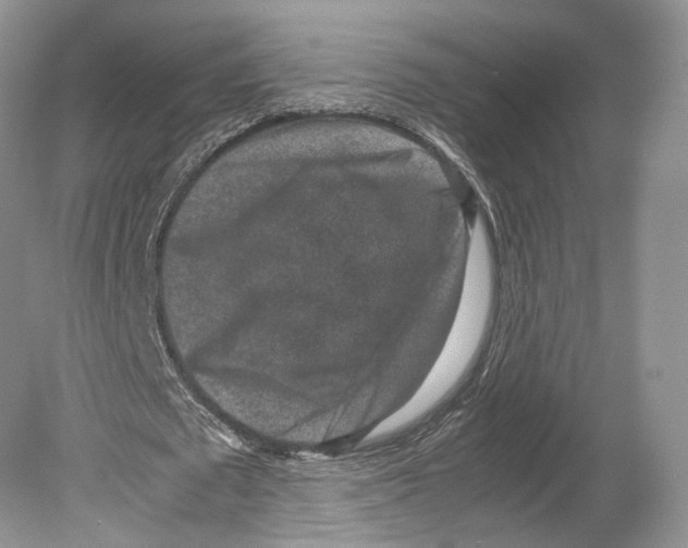 X0000078880673200612111740