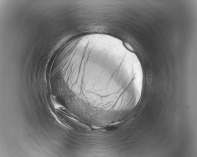 X0000078880674200612111740