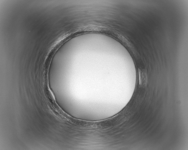 X0000078880675200612111740