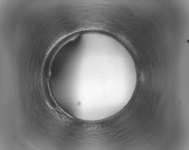 X0000078880676200612111740