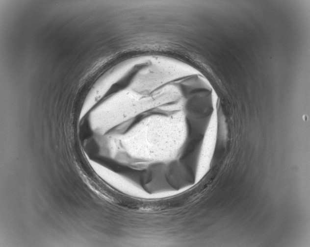 X0000078880677200612111740