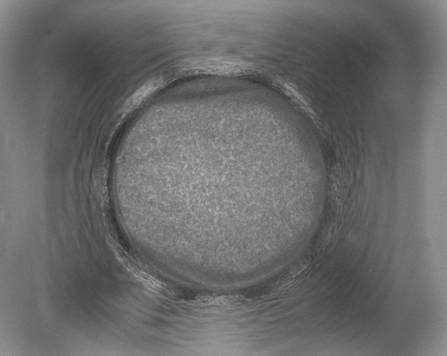 X0000078880679200612111740