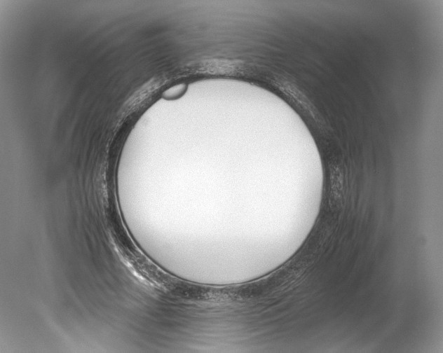 X0000078880682200612111740