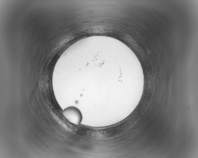 X0000078880683200612111740