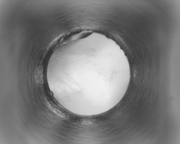 X0000078880684200612111740