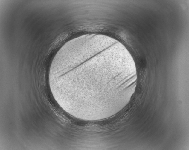 X0000078880685200612111740