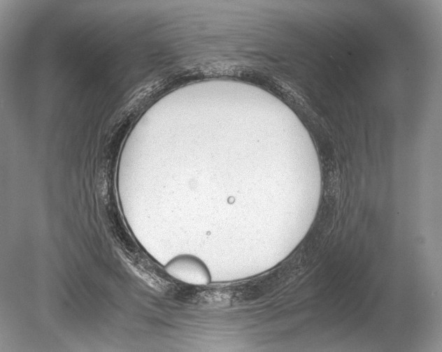 X0000078880687200612111740