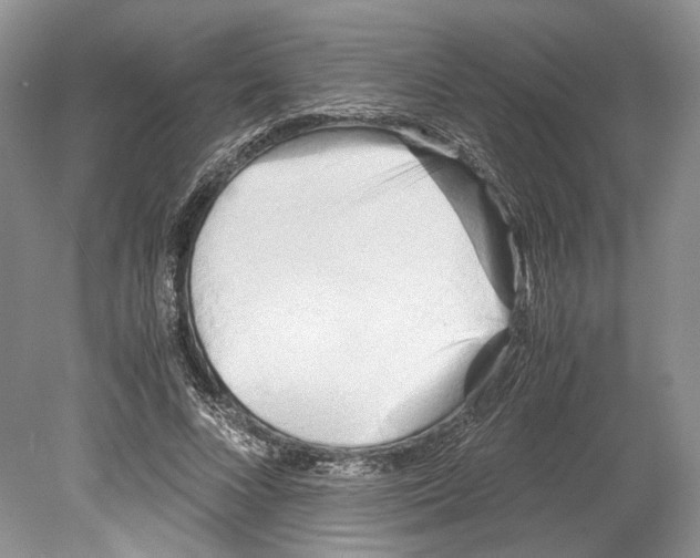 X0000078880688200612111740