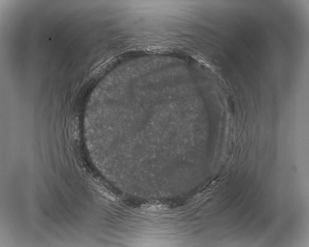 X0000078880689200612111740