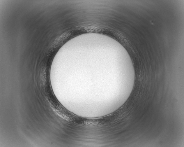 X0000078880690200612111740