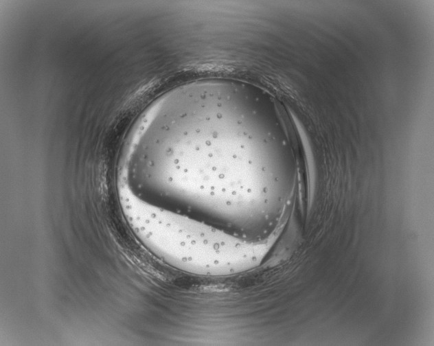 X0000078880692200612111740