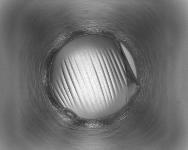 X0000078880693200612111740